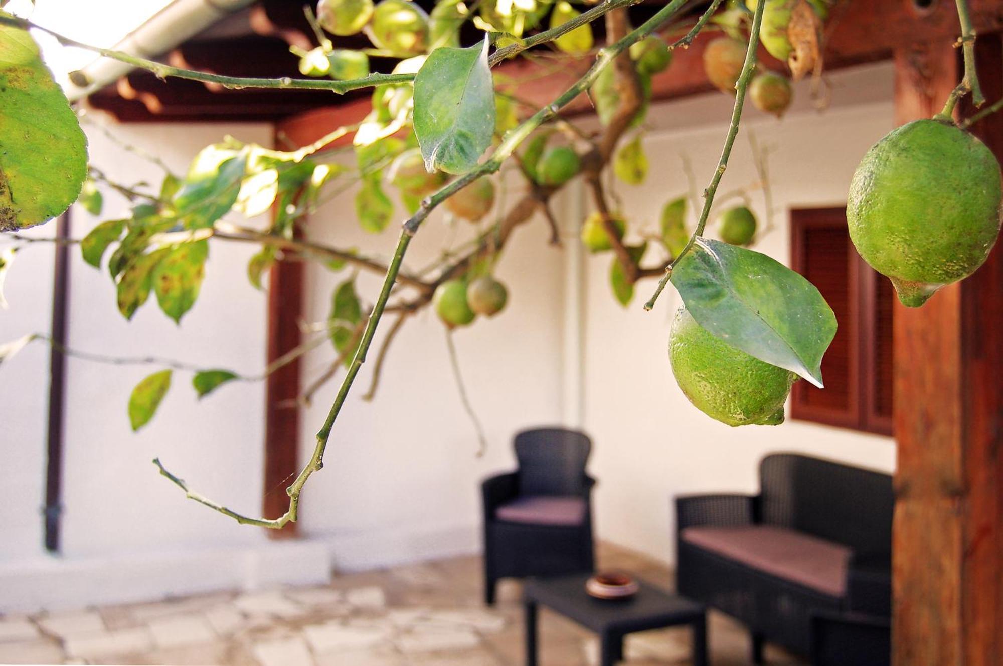 Sea Breeze Villa - Luna Apartment Bari Exterior foto